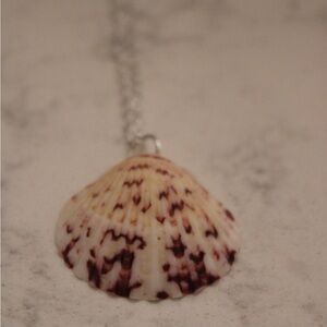 Natural Shell Pendant Necklace on Silver Chain